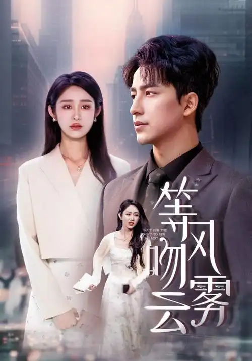 风起南巷 高清电视剧免费看